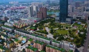 西南工程“三个不动摇”确保生产安全稳定